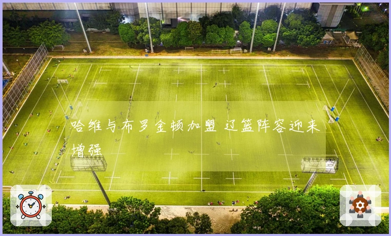 哈维与布罗金顿加盟 辽篮阵容迎来增强