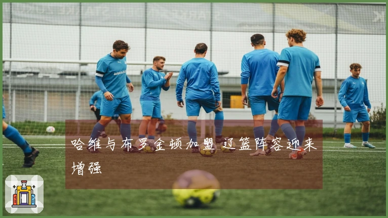 哈维与布罗金顿加盟 辽篮阵容迎来增强