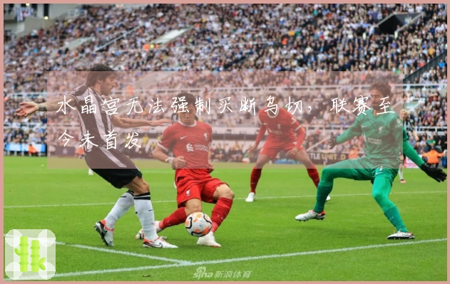 水晶宫无法强制买断乌切，联赛至今未首发